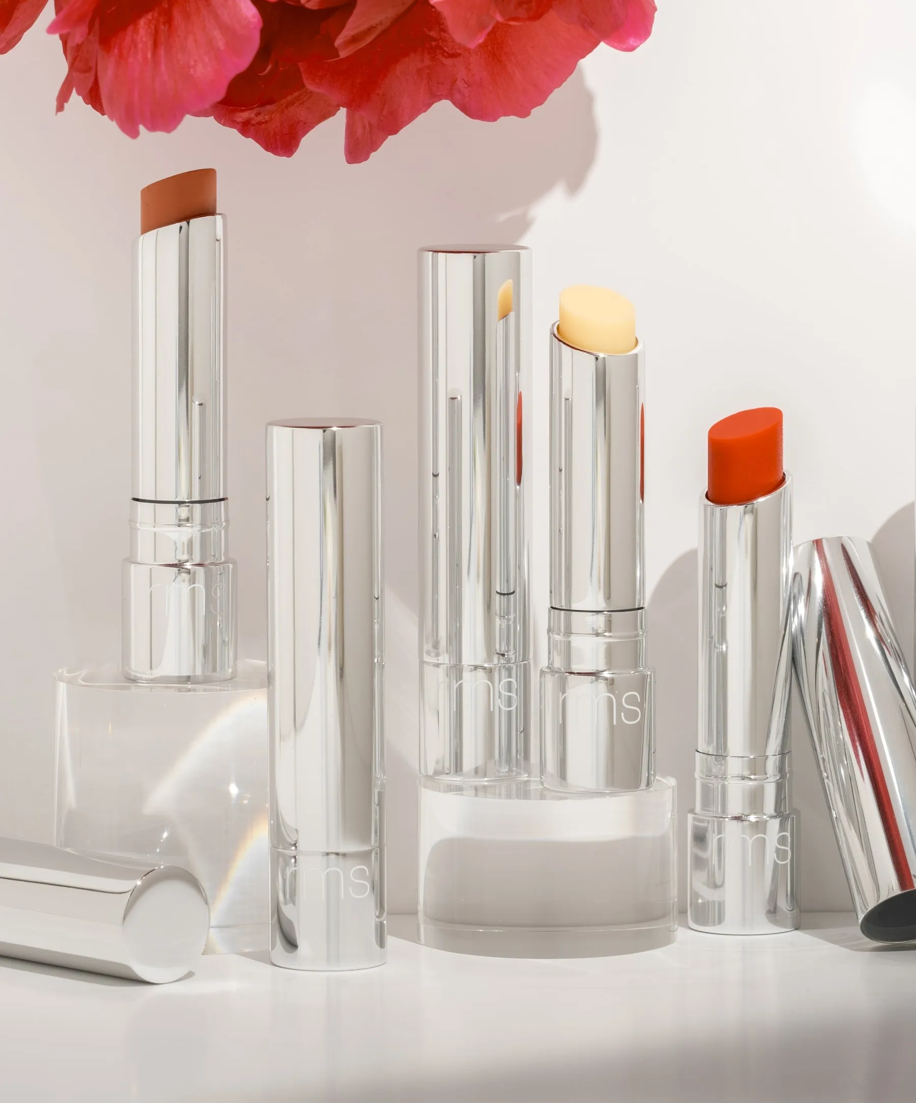 Tinted Daily Lip Balm